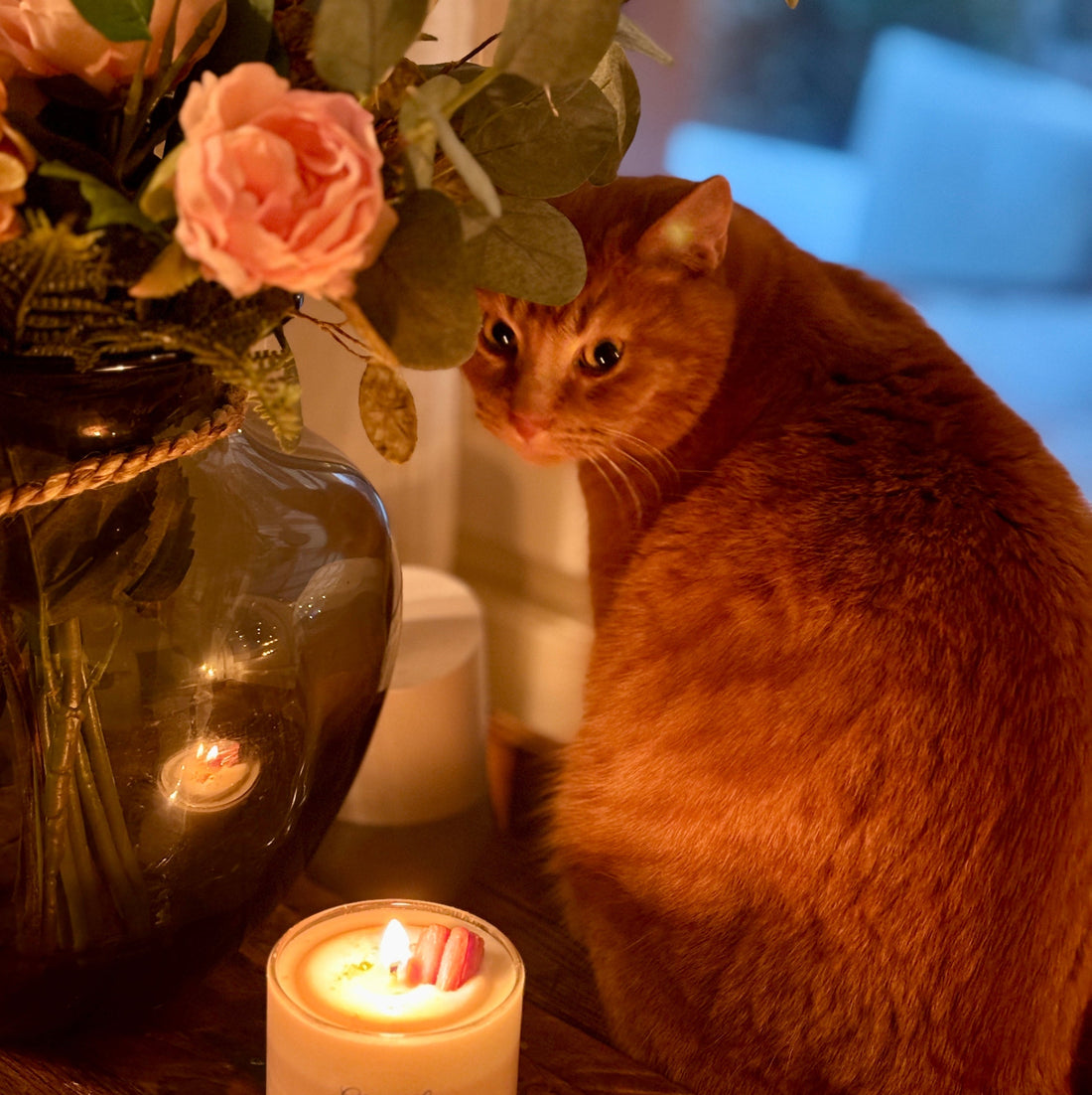 Orange katt sitter bredvid ett tänt doftljus från Moony Flames och en glasvas med blommor i en varm och mysig hemmiljö.