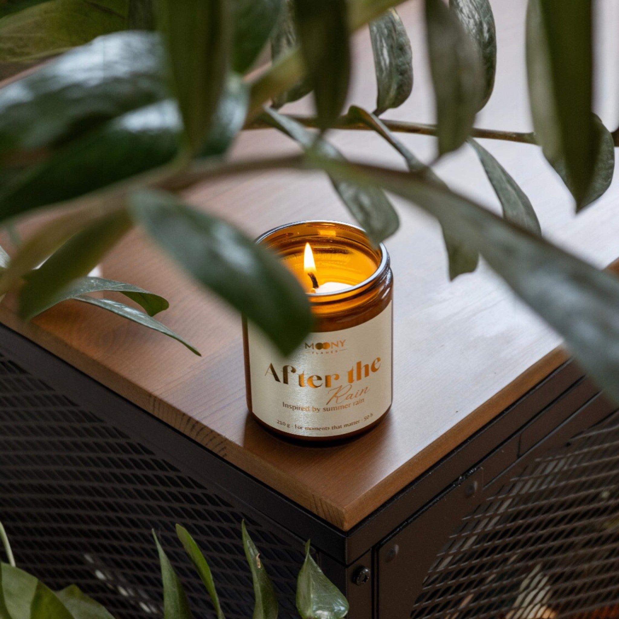Handgjort doftljus After the Rain i brun glasburk på möbel omgiven av gröna blad – lugn och naturlig hemmiljö.