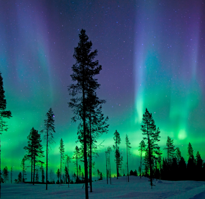Mjuka blommor i ett drömskt norrskensljus som illustrerar den blommiga och pudriga doften i det norrskensinspirerade doftljuset Aurora från Moony Flames.