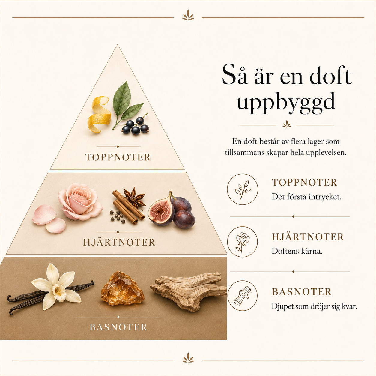 Doftpyramid som förklarar hur toppnoter, hjärtnoter och basnoter tillsammans bygger upp en doft i ett doftljus från Moony Flames.
