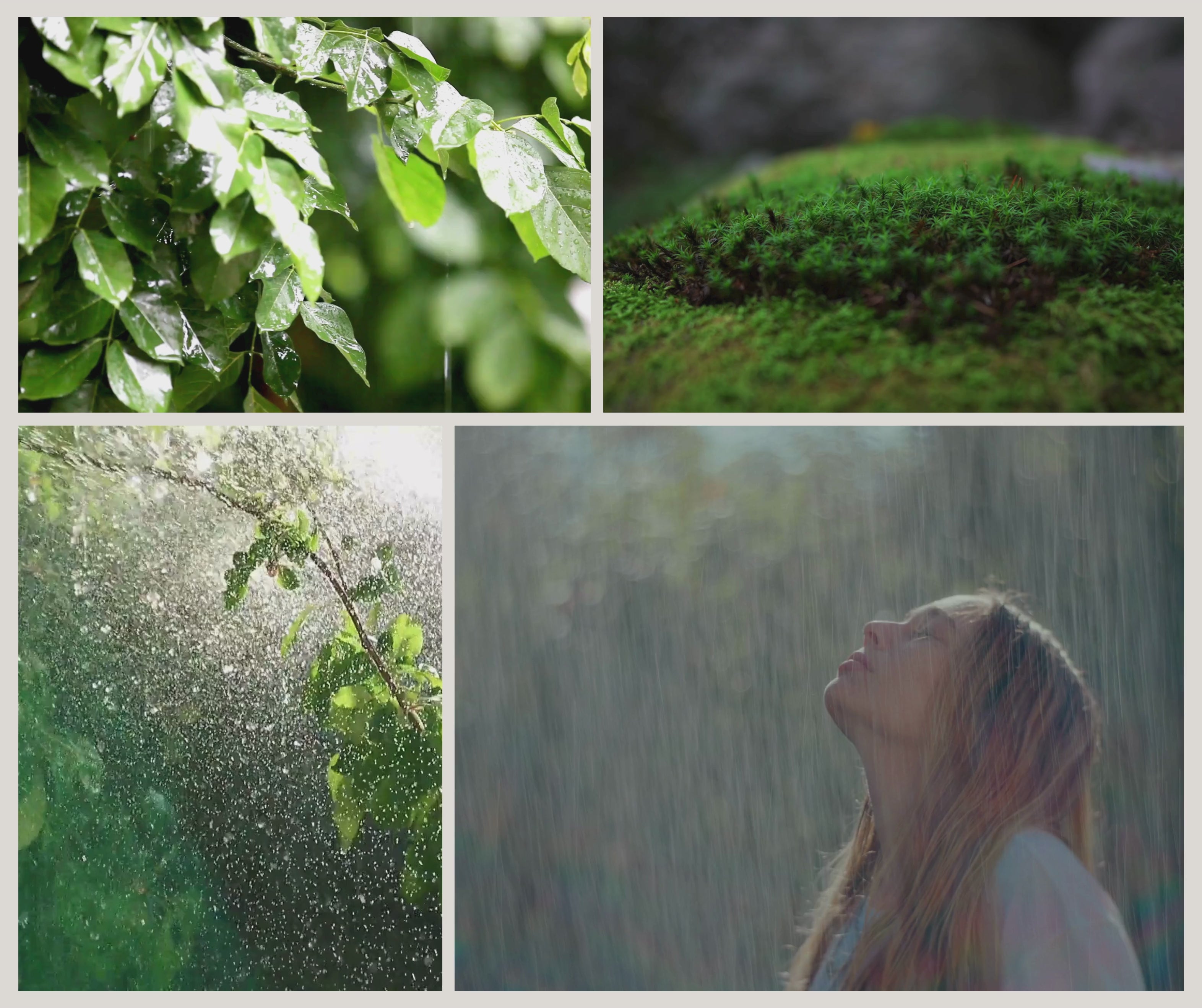 Videocollage som visar doftljuset After the Rain från Moony Flames med sommarregn, daggvåta blad, grön mossa och den friska känslan efter ett stilla regn.