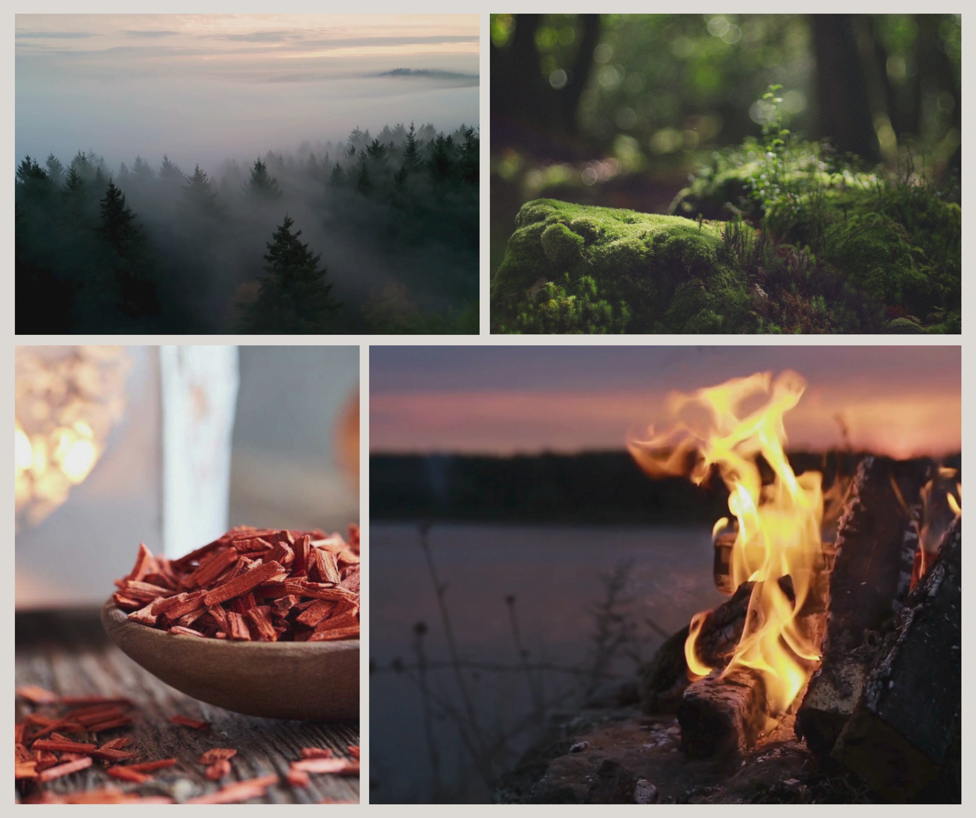 Secret Woods handgjort doftljus från Småland med sandelträ, saffran, cederträ och varm amber i en stämningsfull skogsinspirerad miljö.